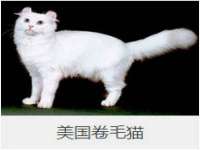 郑州晟禾生物科技有限公司