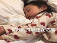 郑州晟禾生物科技有限公司