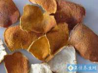 郑州晟禾生物科技有限公司